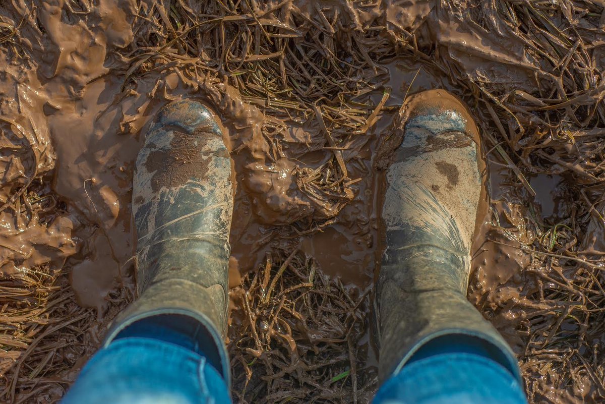 On this #AgMentalHealthWeek, Minister @martinheydonfg also announced that we are expanding our farmer health and well-being awareness programme, On Feirm Ground, from advisors to other professionals working with farmers 📕Learn more on #farmsafety health: gov.ie/en/publication…