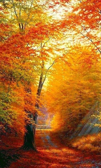 AvellarPaulo's tweet photo. Bom dia a todos! / Good morning to all! … https://t.co/ZIZSLLEC02