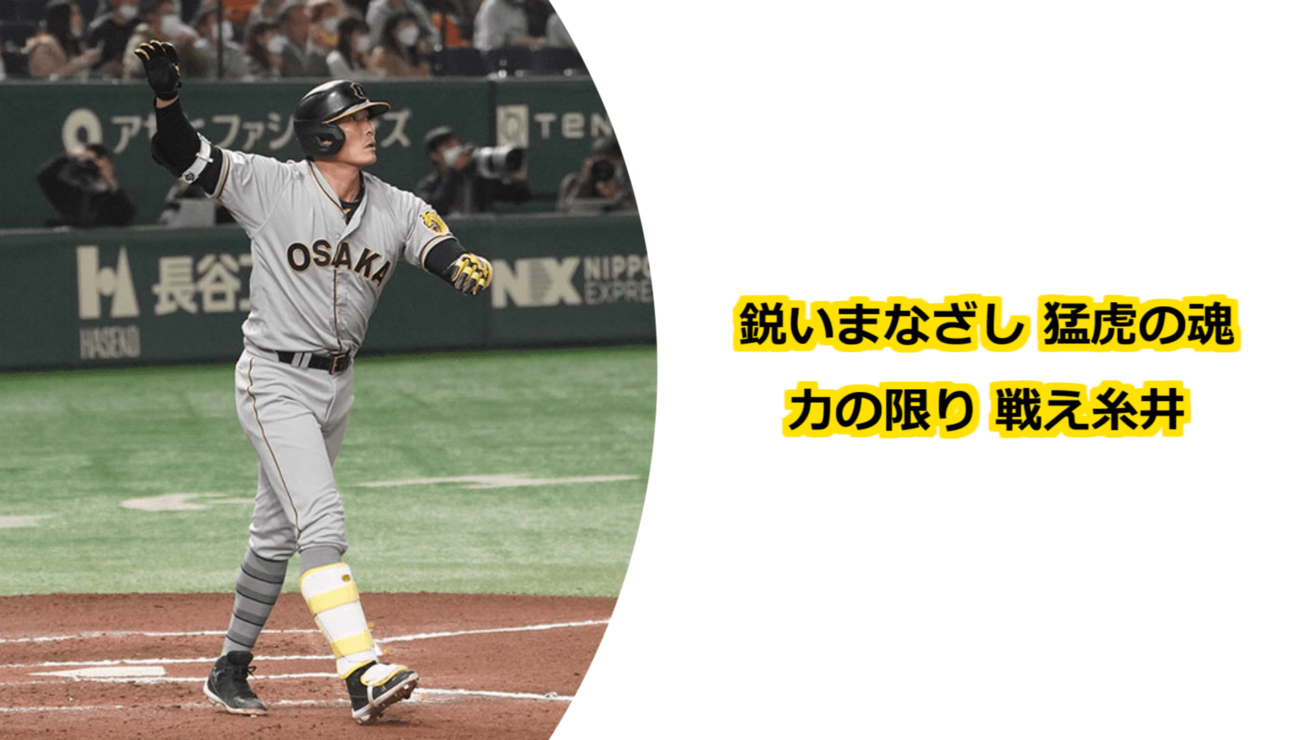 プロ野球 応援歌プロジェクト Fight Song Pjt Twitter