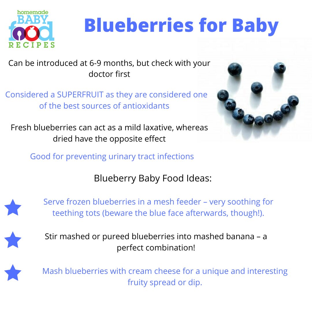 Recipes4Baby's tweet photo. Learn more about introducing these nutritious treats to your little one!
https://t.co/UvEUetre0q
#blueberry #blueberries  #babyfoodrecipes #babyfood #homemadebabyfood #weaning #weaningideas #startingsolids #firstfoods #babyfirstfood https://t.co/4Or0esbm6L