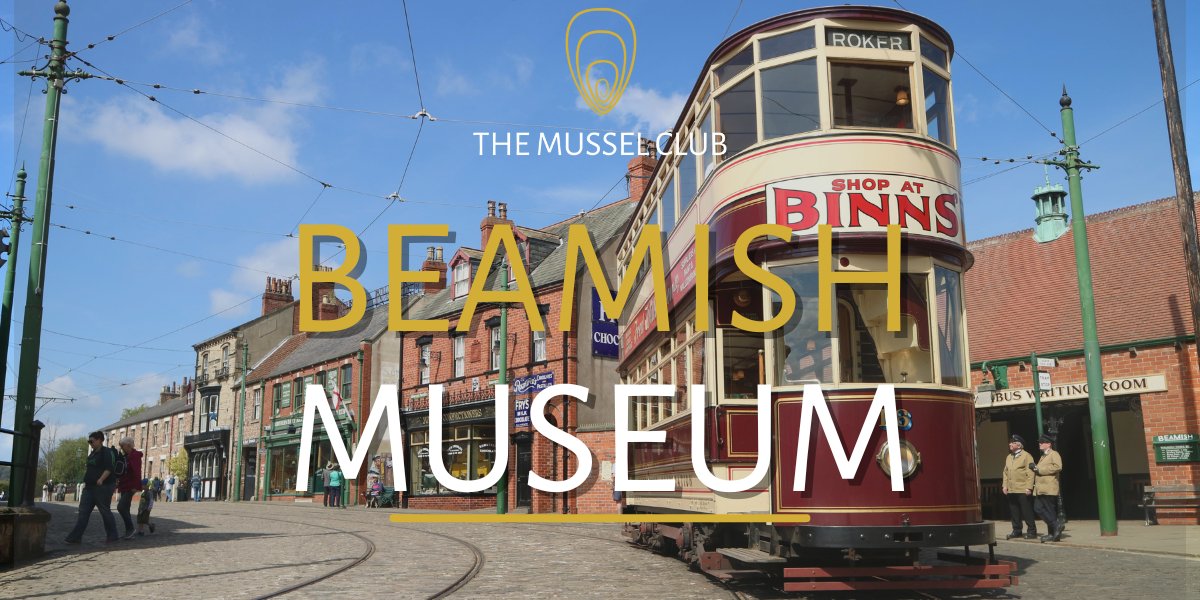 The Mussel Club tweet media