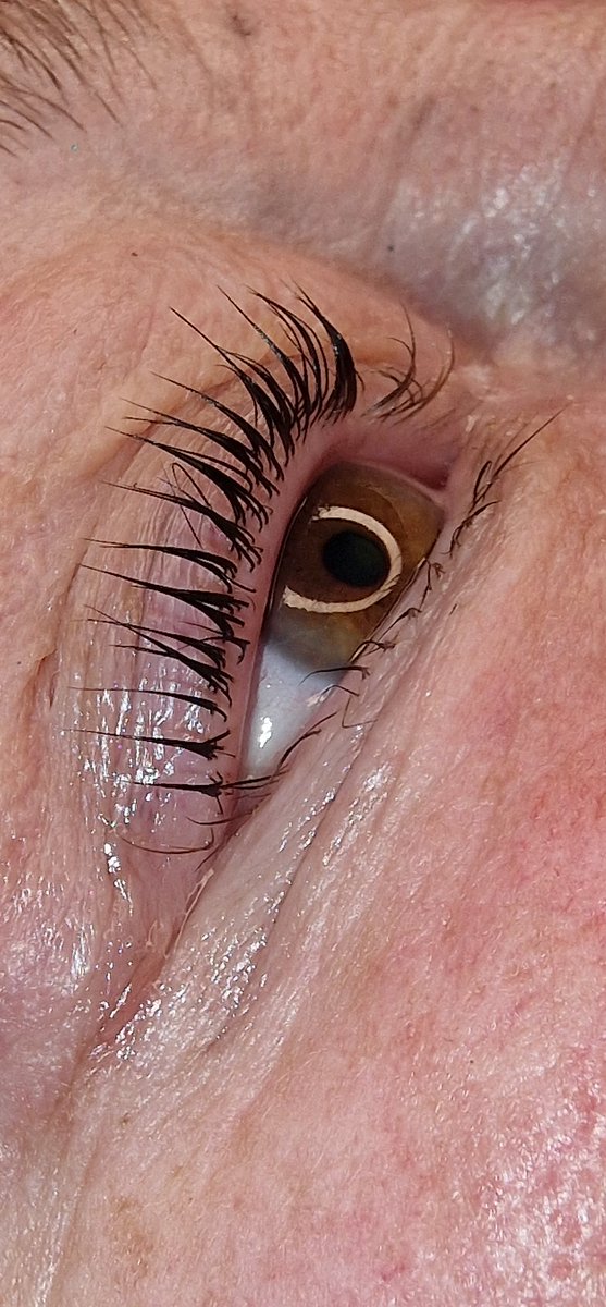 DarrLinz's tweet photo. Come on down to the salon for a Natural Lashlift &amp; Tint by Linzi 🌸 @lash_art
#airliftyourlashes #airlift #lashlift #refectocil #lashart #lashes #allinone https://t.co/kcnJi5At0h