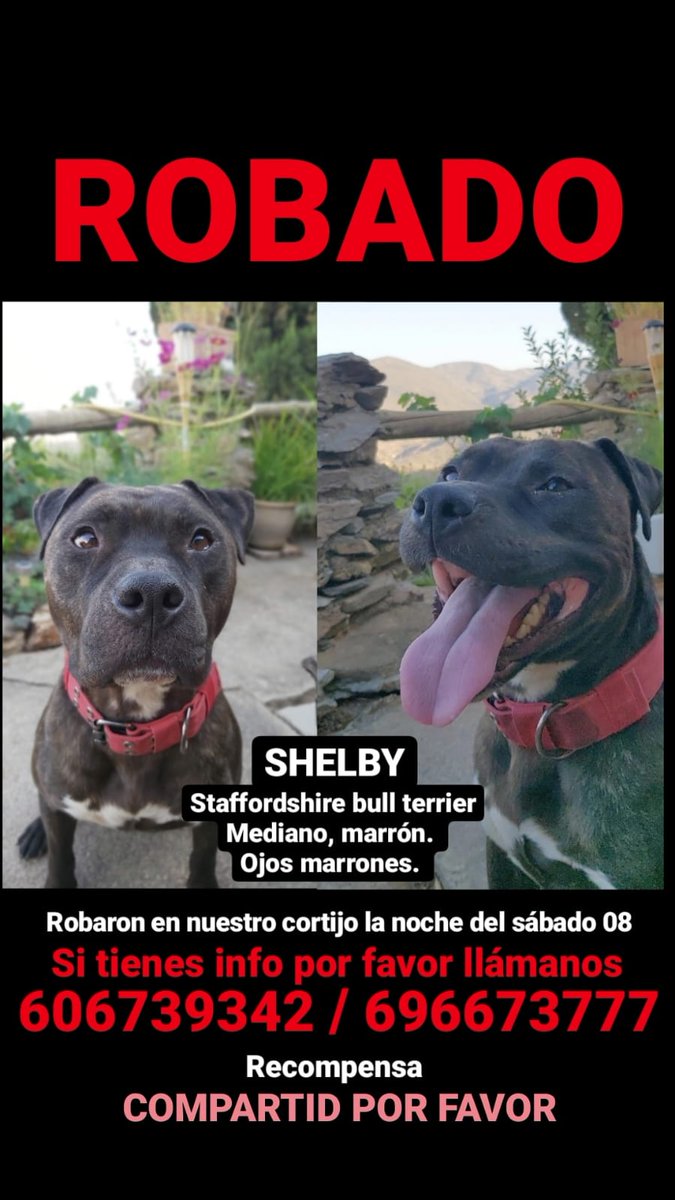 Por favor difundir, mi niño no aparece desde que nos robaron el sábado noche mientras estábamos fuera y se m está rompiendo el corazón.💔🙏🏼🙏🏼