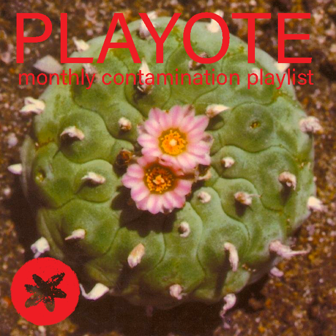 peyote_zone's tweet photo. La "monthly contamination playlist" di ottobre con #TheRootworkers | #Goat | #GuadalTejaz | #submeet | #alpaca | #LittlePiecesofMarmelade | #Leatherette | #Bebawinigi | #MariaChiaraArgirò https://t.co/PYgSMoD8Yn #playote #monthlycontaminationplaylist #spotifyplaylist #peyotezone https://t.co/OQjrcutlIt