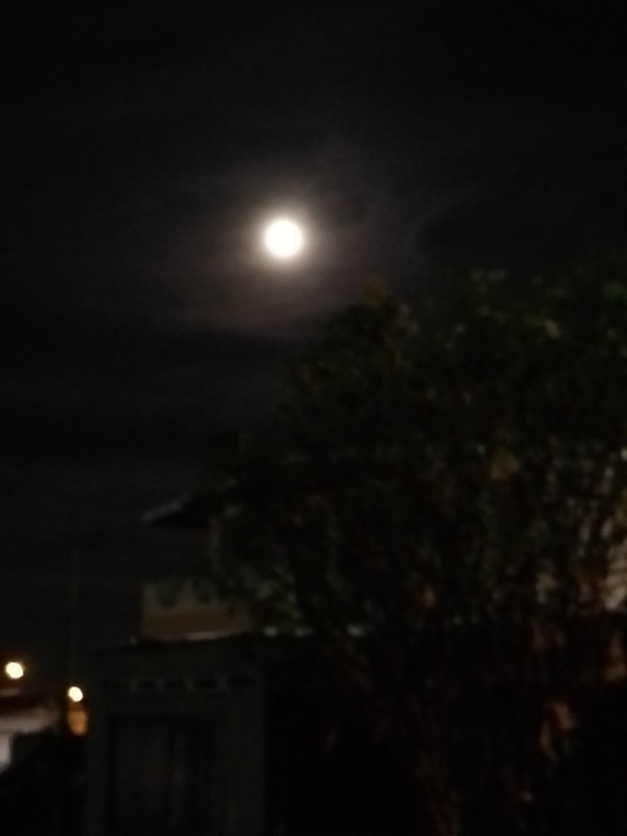 BooksCaribbean's tweet photo. As #jumbienight comes to an end, we thank you for enjoying the full moon with us. Let's continue to celebrate #caribbeanfolkloremonth all month. Until another #jumbienight #CaribbeanFolkloreOctober #caribbeanbookmagic https://t.co/jipaQ2nuDv