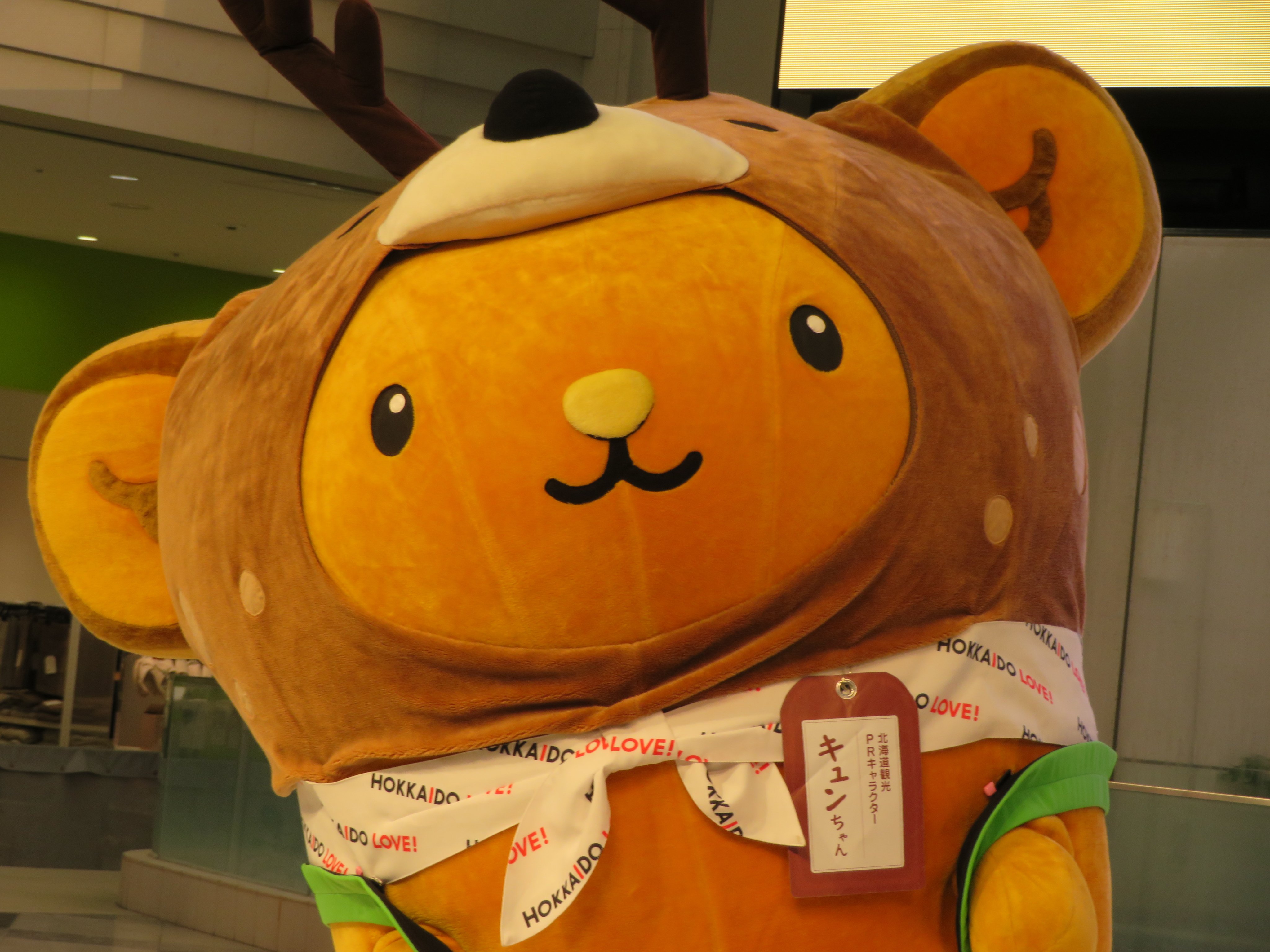北海道 キュンちゃん ぬいぐるみ ＆ マスコット(イランカラプテver.)