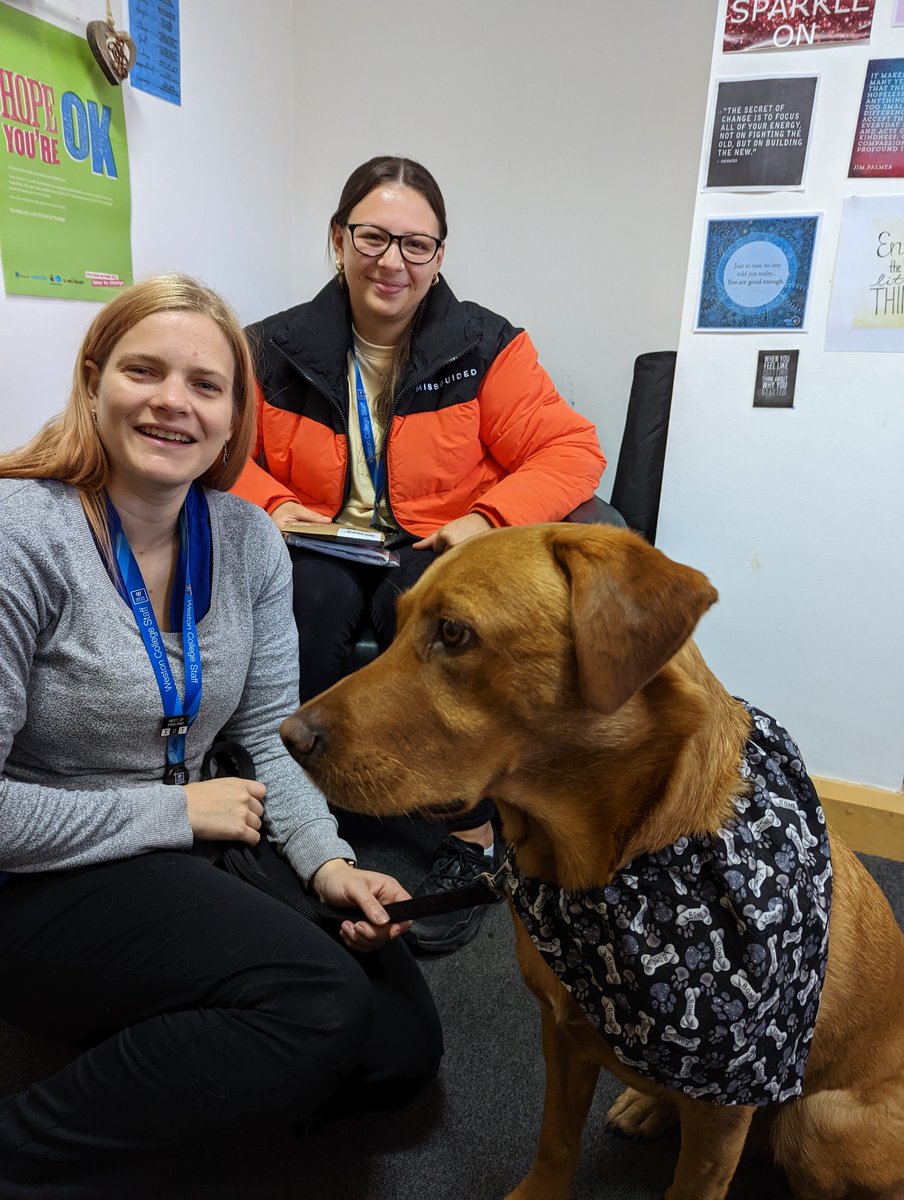 Tails_53's tweet photo. @westoncollege We've been seeing the wellbeing dogs at Knightstone this morning. Made the start of our day much better ☺️ https://t.co/FHXSYhw1dd