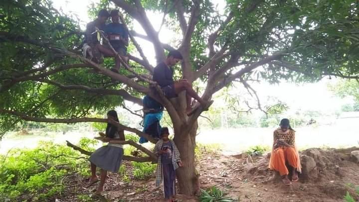 Debasis61069396's tweet photo. India achive milestone to initiate 5G Network connectivity. Bt At-Hadasanhar, Post-utunia, Dist-Deogarh, Odisha, there even no 2G network. People go to mountain, tree to access data https://t.co/Wp2ZWlskQL