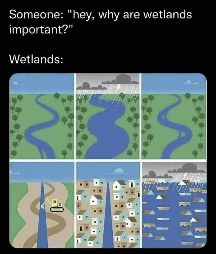 TakcsFanni13's tweet photo. an evergreen explanation I hope we keep in mind 💡💚 marvelous Monday everyone ☕ 
#wetlands #ecology #beaware https://t.co/npwBDtz4Hh