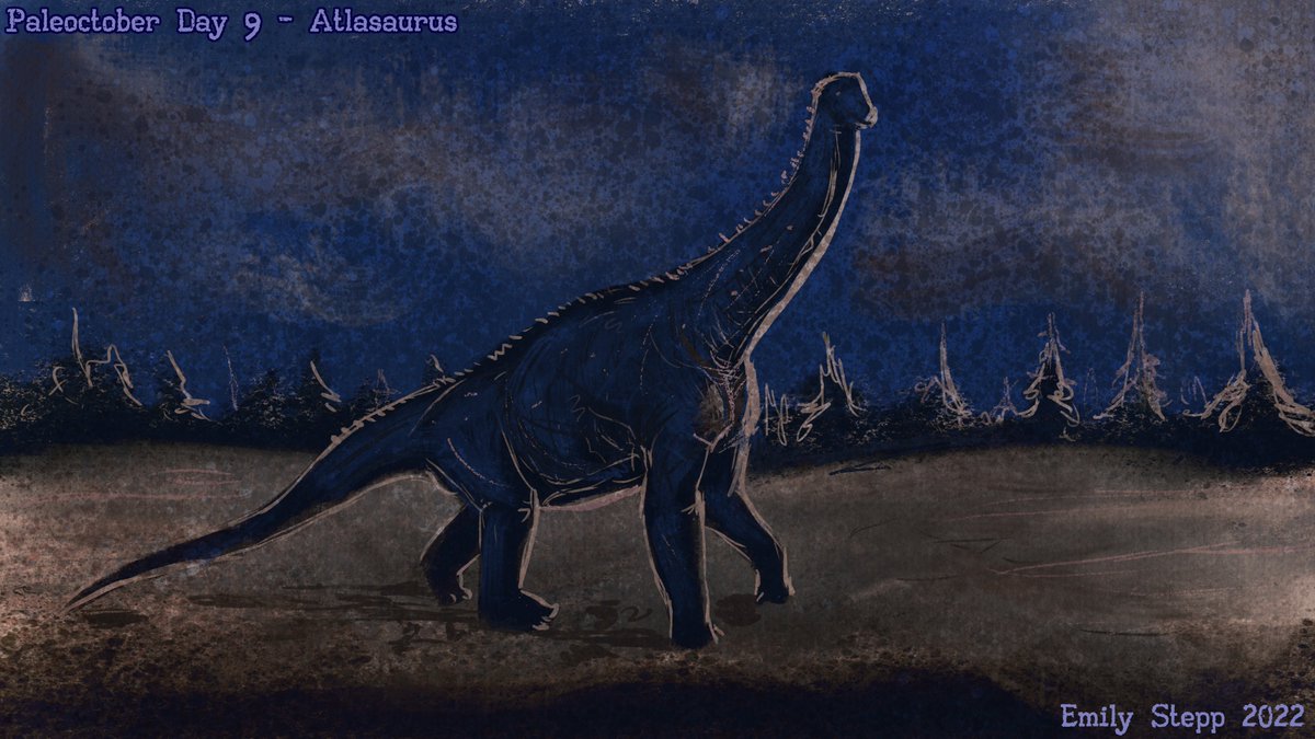 Emily Stepp on Twitter: "#Paleoctober #Paleoctober2022 day 8 with the