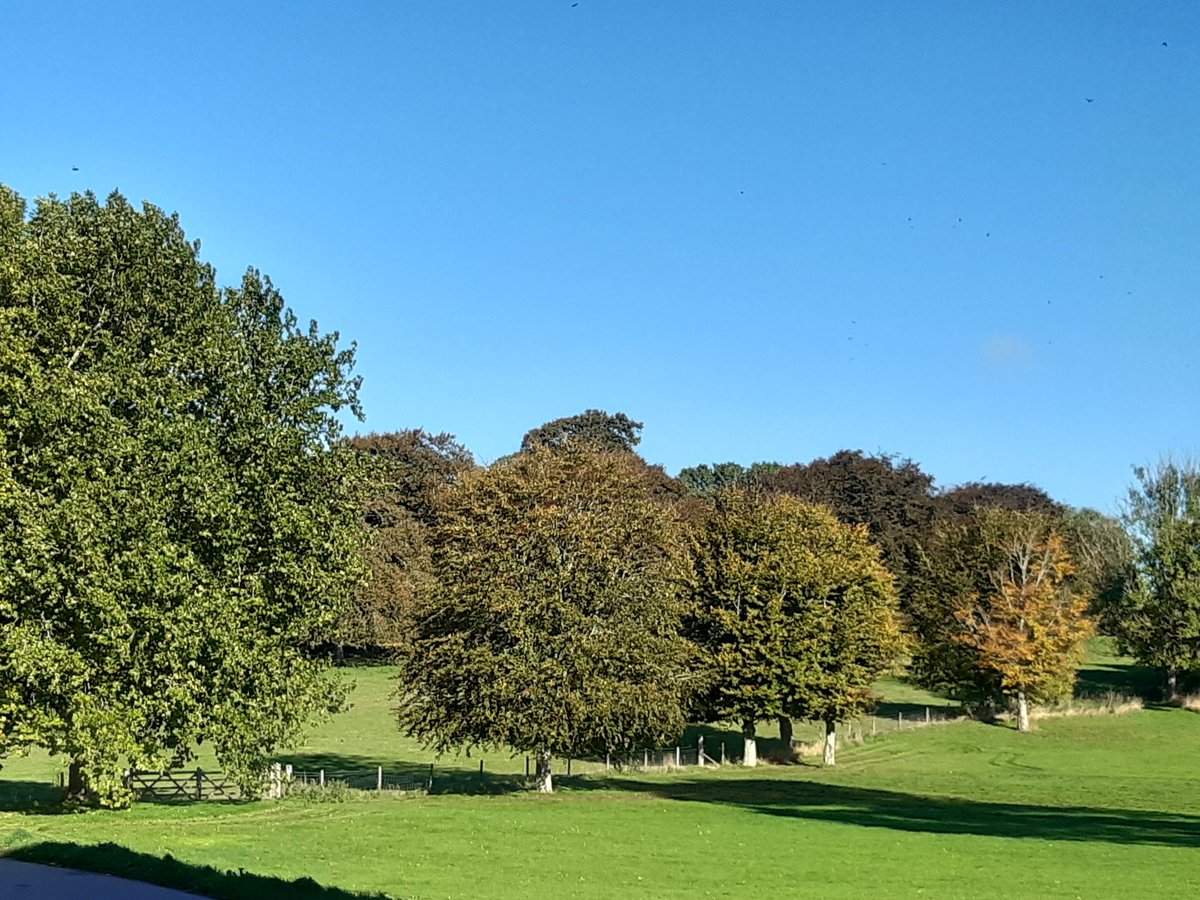Sarah Dackham (@sarahddcc) on Twitter photo Fab location and fantastic weather to kick off Day 1 #FutureFest22 at Kingston Maurward <a href="/tweet_kmc/">Kingston Maurward</a> <a href="/digitaldorset/">Digital Dorset</a> Fab location and fantastic weather to kick off Day 1 #FutureFest22 at Kingston Maurward <a href="/tweet_kmc/">Kingston Maurward</a> <a href="/digitaldorset/">Digital Dorset</a>
