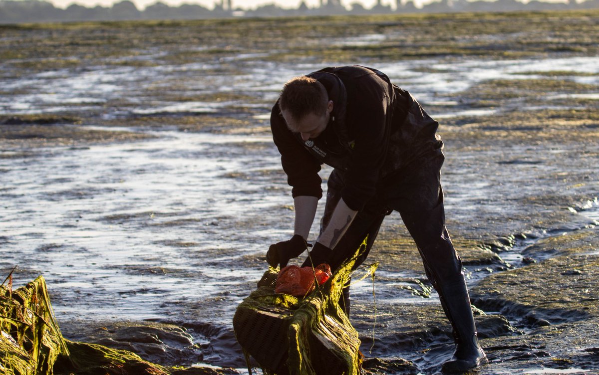 There is still time to sign up for  #remediation workshop  - let's talk about how we can tackle #nutrientinputs #waterpollution and how we can collaborate to come up with new solutions
Book on here: tinyurl.com/mryp2xzp