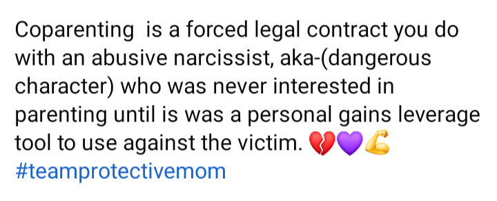 AmyBrockwell2's tweet photo. @custodypeace @coercivecontrol @DrEmmaKatz @SheraFamily @MomsProtective @ERACoalition @safe_parents @momsfightback @MovementOfMoms @ACaseforACE1 @BFantasia2022 https://t.co/mKHSvzHSR3