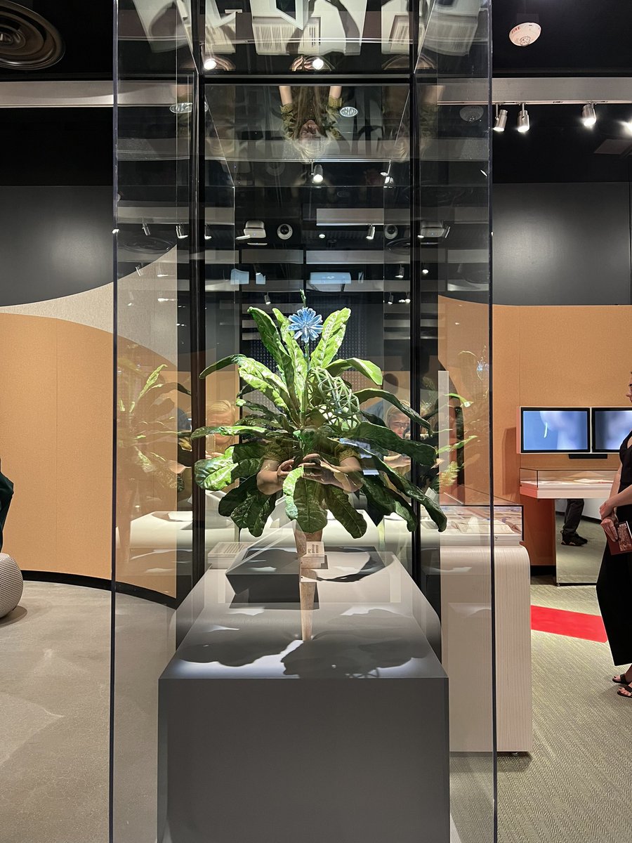 AnnaDumitriu's tweet photo. Current art exhibitions: @SpazjuKreattiv @MITMuseum @TheNorthWall @NobelMuseum @Liljevalchs1 @SVAgalleries Flatiron NYC @MuseeDeLaMain @machine_award @triennalemilano #BDHOpenwide #BATB 798 CUBE Art Museum #Beijing @EdenProject 
https://t.co/wEXQRJ20MK #bioart #contemporaryart https://t.co/I7v46X4eti
