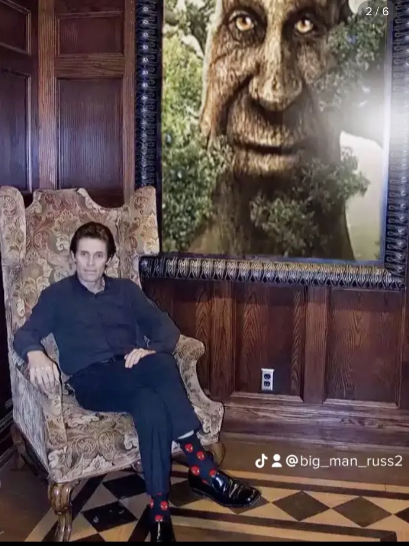 SATSinvest's tweet image. He was fortunately over 25 and had a computer #mysticaltree #wisetree #oldmysticaltree