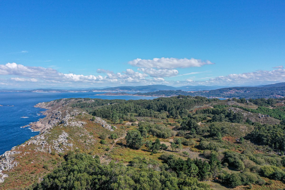 monte_do_facho's tweet photo. O Monte de Facho está situado na Costa da Vela e é un miradoiro privilexiado dende o que contemplar as illas Cíes, a de Ons e as rías de Pontevedra e Vigo.
@turisriasbaixas
@pat_inteligente
#montedofacho
#riasbaixas
#arqueologia
#PontevedraProvincia https://t.co/Tji9nZc8Ej