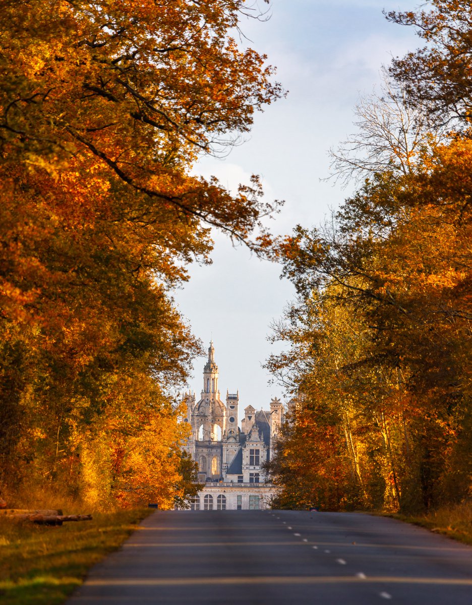 Château de Chambord tweet media