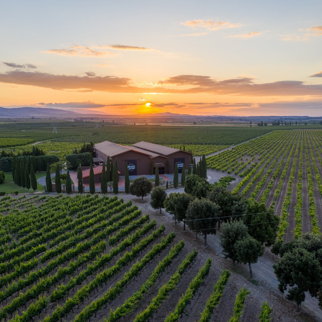 HeraclioAlfaro's tweet photo. Nuestra #bodega se erige sobre un antiguo hangar de aviación con más de 100 años de historia. Está rodeada de 110 hectáreas de #viñedos en pleno corazón de la #Rioja oriental.
#GrupoTerrasGauda #SomosTerrasGauda #HeraclioAlfaro #FincaElEstarijo #RiojaDOCA #Riojawine #winelovers https://t.co/ymEZQUd0IY