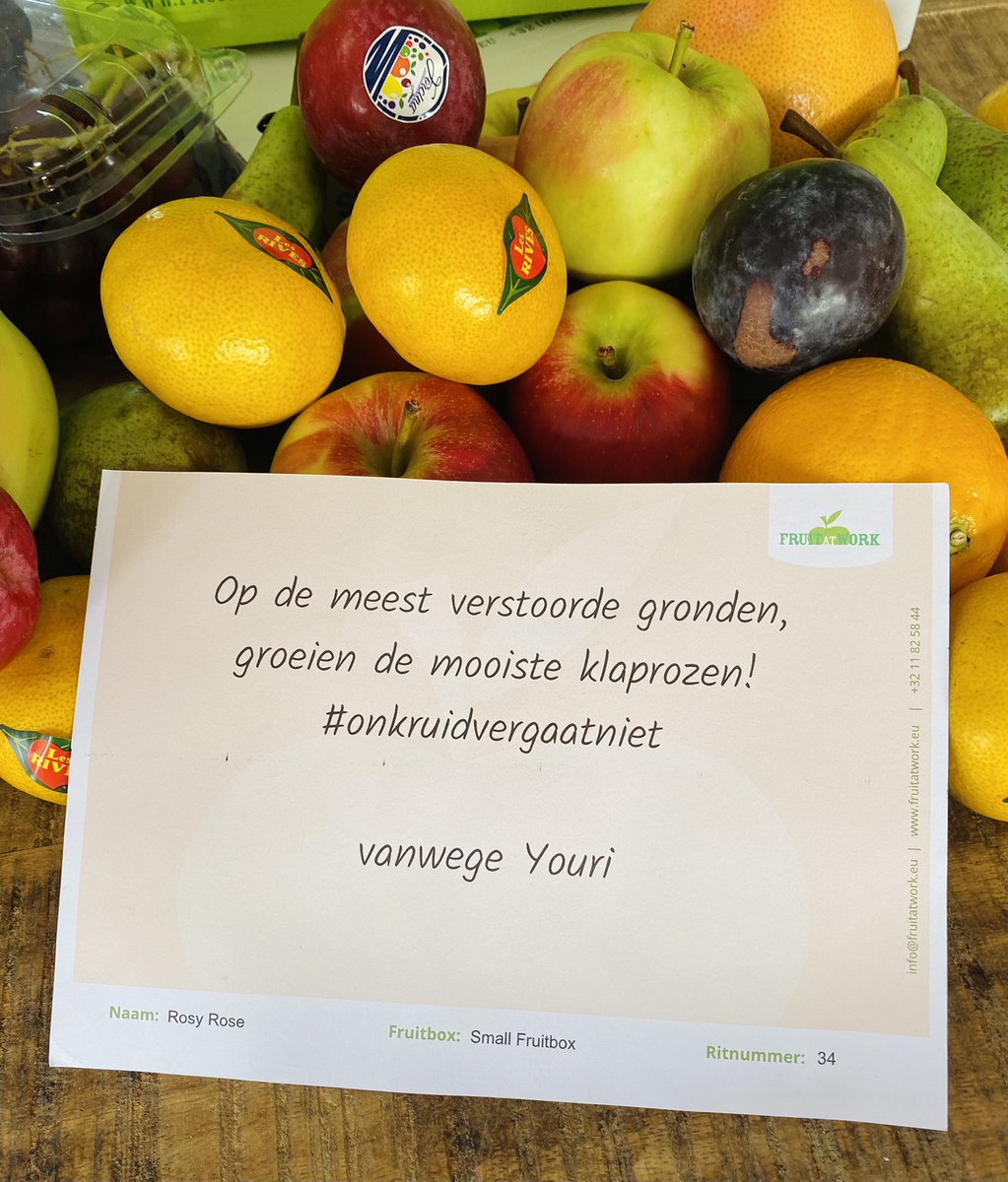 RoosTante's tweet photo. En toen ging de deurbel..
Een doos vol vitaminen,
hier kan Miss Corona niet tegenop!
Dankjewel @kgbvendetta 🌹
#Fruitatwork https://t.co/5A8wRVraM5