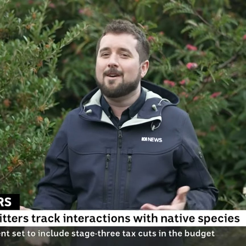 Matthew Toohey tweet media