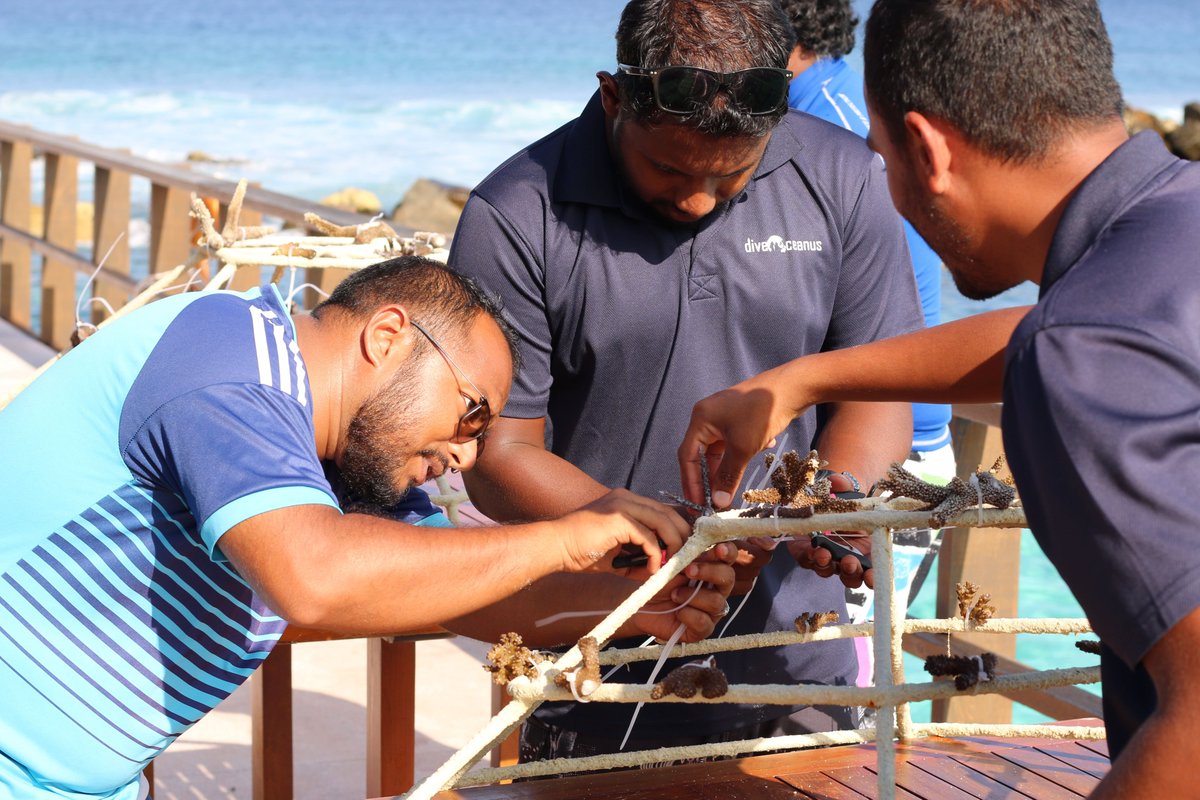theislandchief's tweet photo. As part of a continuous pledge to prioritize ocean conservation and protect the natural environment, diveOceanus at #ParadiseIslandResort has initiated a Coral Garden restoration programme
https://t.co/gognJzewdz https://t.co/cvdMATPSm7