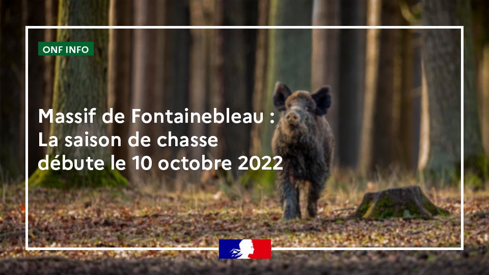 #Chasse 🌳 | La saison de la chasse en forêt domaniale de #Fontainebleau débute aujourd'hui. 

⚠ Avant de vous rendre en forêt, consultez le calendrier des jours de chasse : bit.ly/3VfTiGR ou téléchargez l'application mobile MELCKONE.