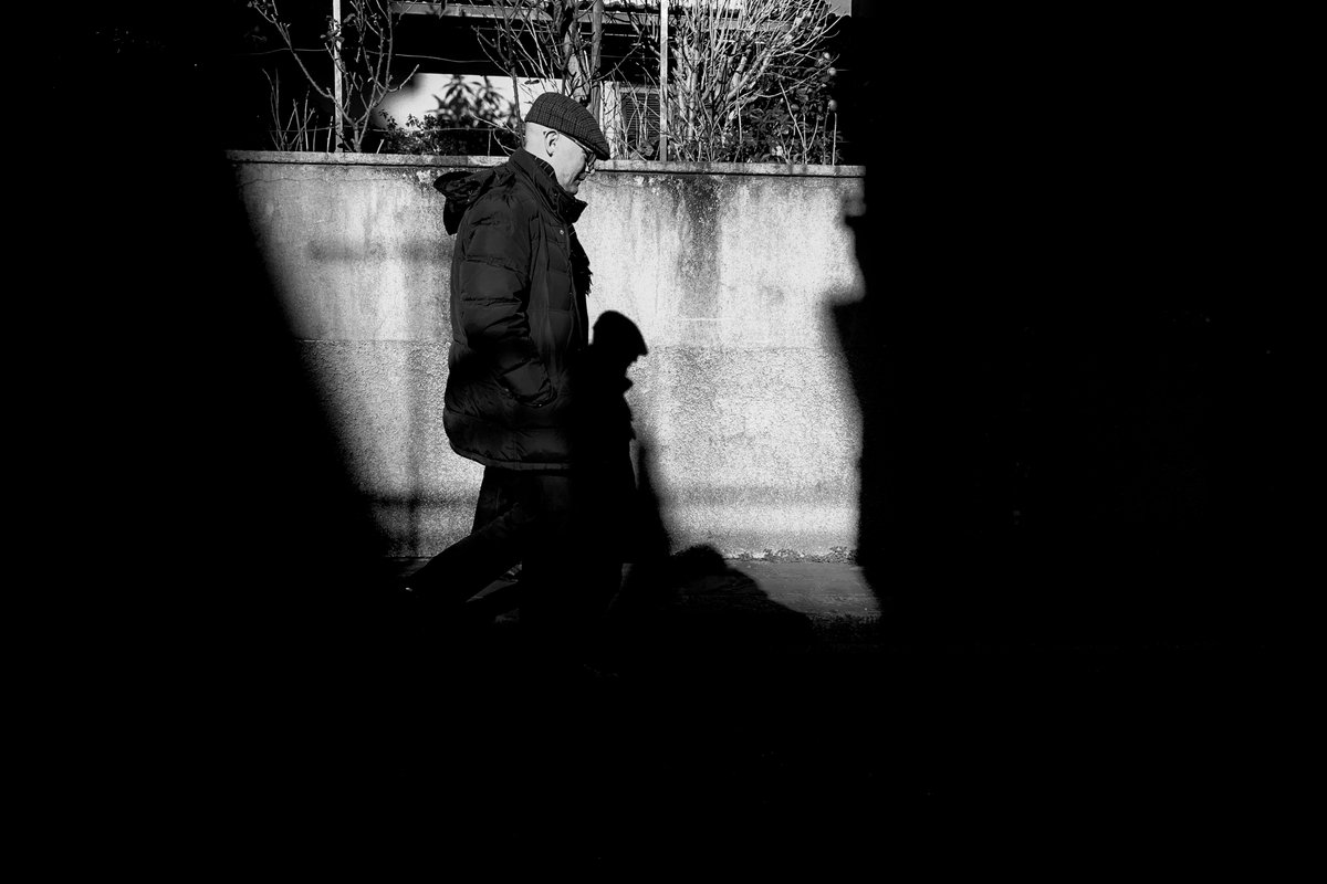 franzipol tweet media