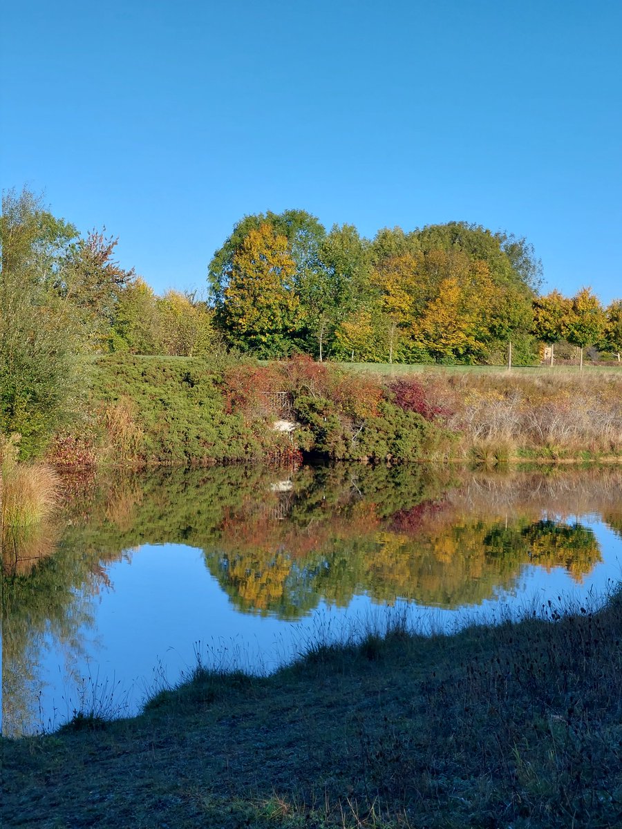 RachelSalmon81's tweet photo. World Mental Health Day 2022. 

This morning I chose to walk in nature with the pooch, appreciating the beauty around me. This has put me in a good mind frame for the day. #WorldMentalHealthDay #WMHD2022 #everymindmatters https://t.co/Kt6wu74xlj