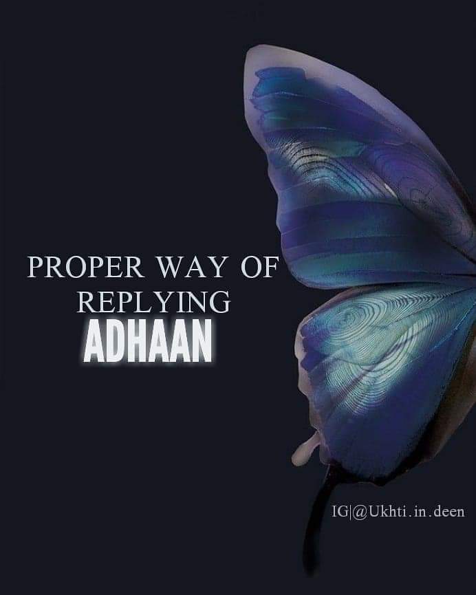 》Proper Way of Replying Adhaan.😇🤎

》Beautiful Reminder 📚