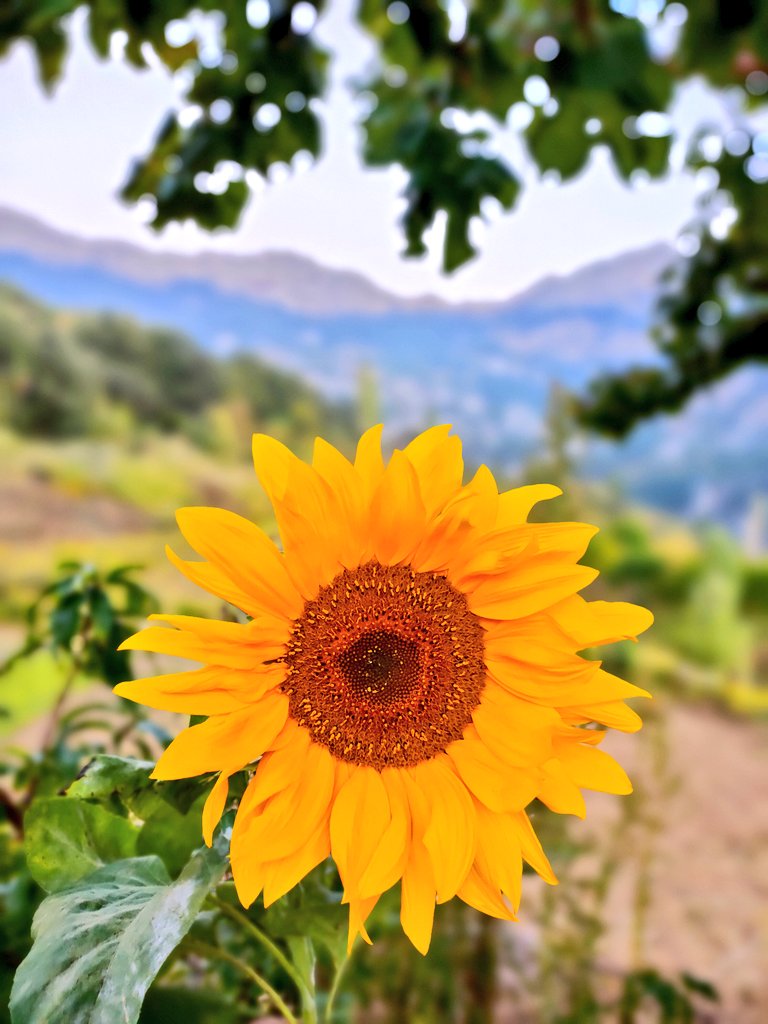 Allahkesinvar's tweet photo. Bütün güzellikler dünyayı sarsın Savaşlar bitsin zulüm,nefret, sevgisizlik,açlık,fakirlik bitsin yerini yaratılma amacımız olan sevgi alsın bu konuda çok güçlü dua edelim inşaAllah.Sevgi herşeyin üstesinden gelir
#mugeanli
Savaş
#guenaydin
#pazartesi
#UkraineRussianWar
#WhatIsOKX https://t.co/jdArX4u910