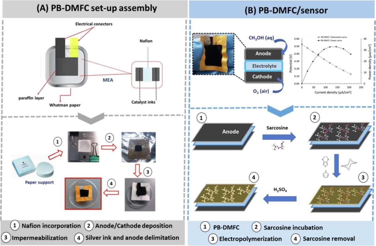 BioMark Sensor Research, University of Coimbra tweet media
