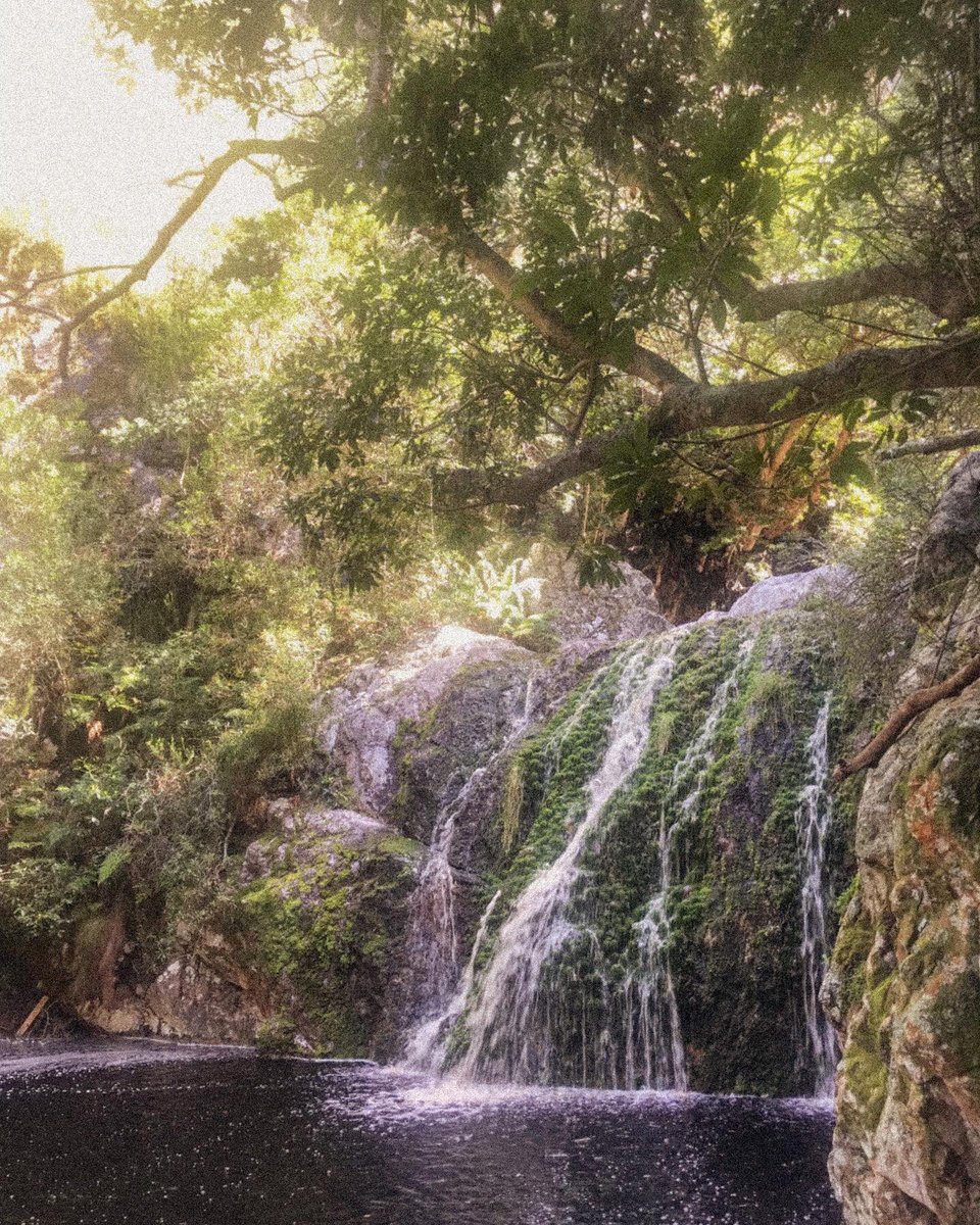 coquet_tish's tweet photo. I don’t know much about serenity but I get pretty close on hot days wandering the mountains with @danferrez https://t.co/YlDy3cL2EH