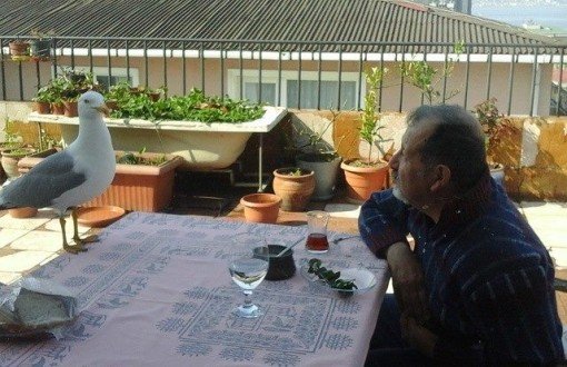 #bianetarşiv "Güzel yavrum, Tayfun amcanı öldürdüler. Senden bunu saklayacağız. Çünkü dünyanın ne kadar kötü bir yer olduğunu senden biraz daha saklamak istiyoruz..."

Gülengül Altıntaş, #10EkimAnkaraKatliamı'nda öldürülen dostu Tayfun Benol için yazdı

bit.ly/322pTEl