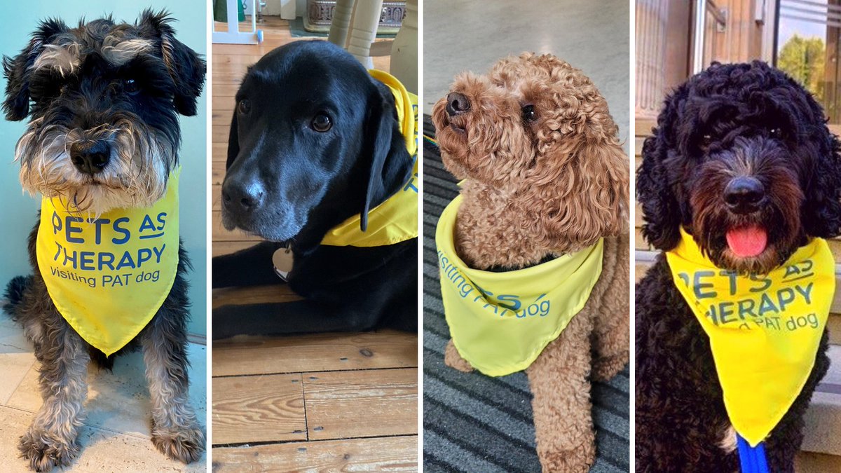 The Royal Marsden NHS Foundation Trust tweet media