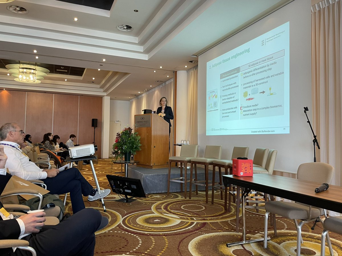 Terrific keynote on adipose tissue engineering by Prof. Petra Kluger at the #ISCCM2022