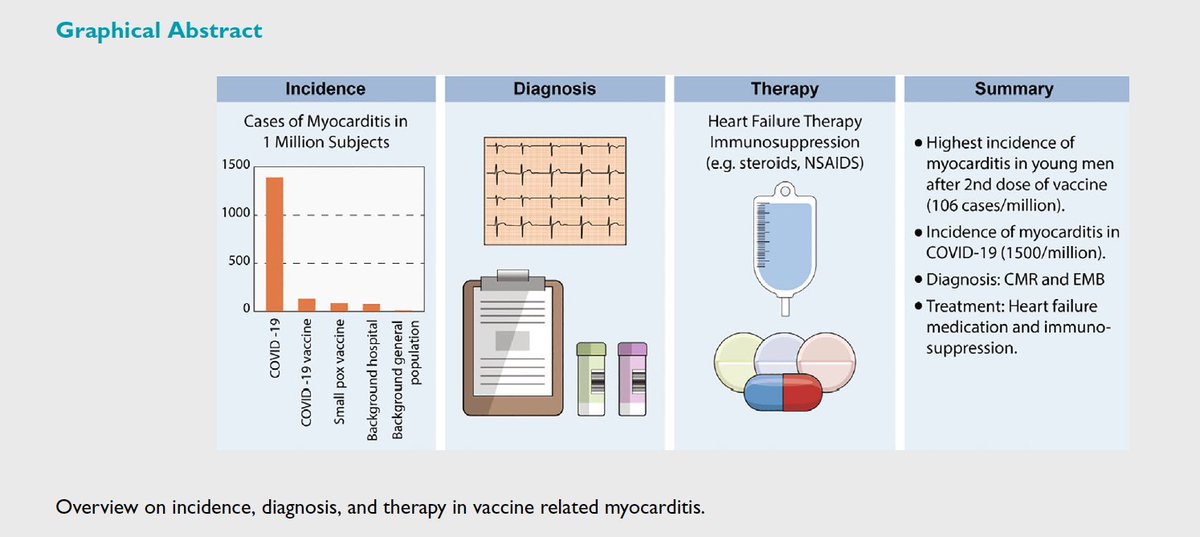 ECMO_Karagiannidis on Twitter "Sehr gute Übersicht zum Thema