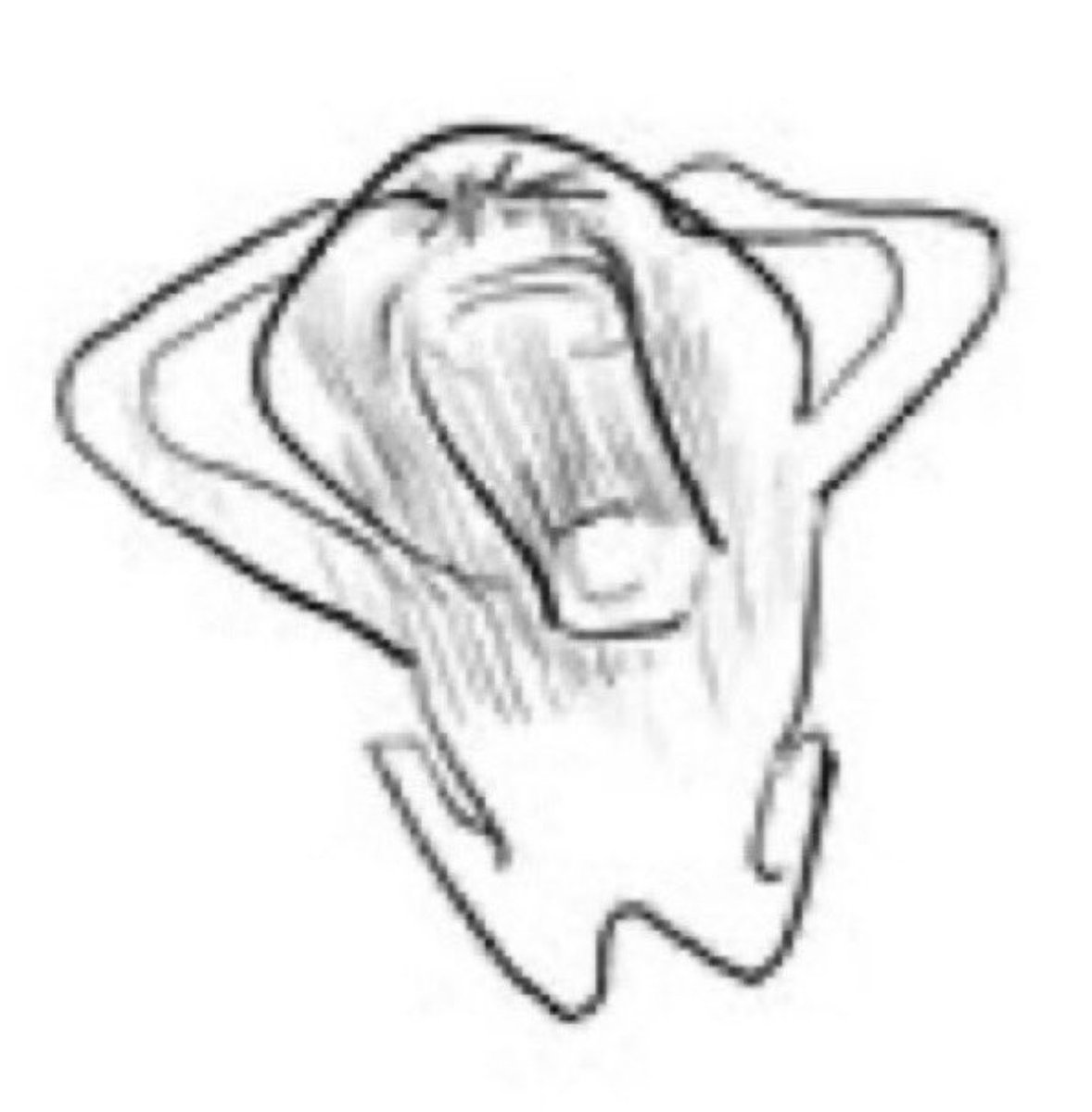 Minto ⬦ Pre Debut VTuber ⬦ ENG + CHI 🍼 ⛅️ (@PackoMinto