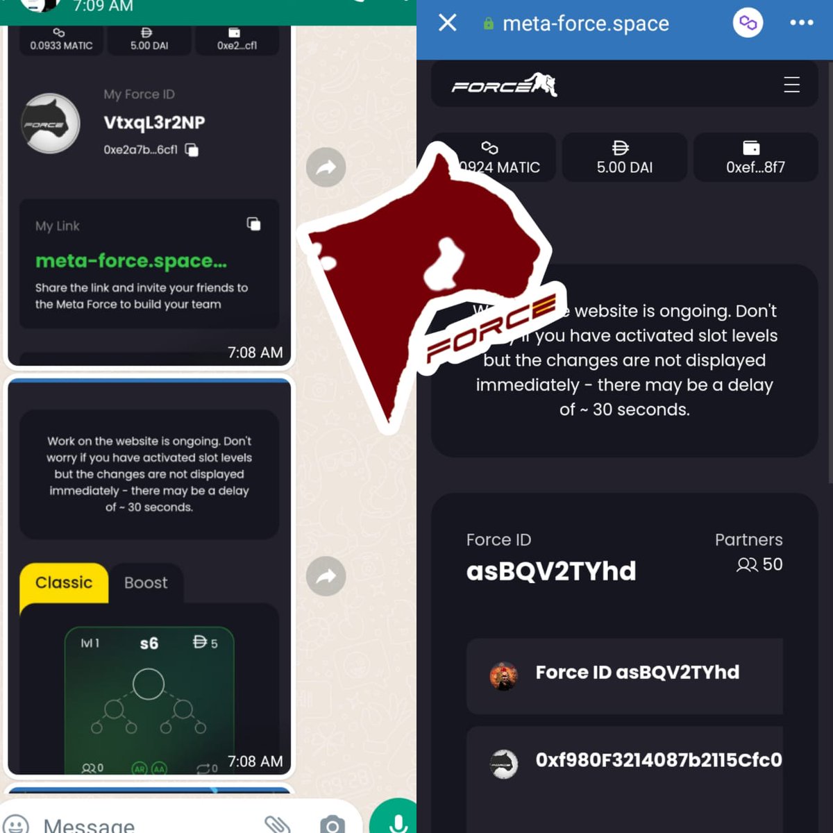 MeetaPanthers's tweet photo. Lvl 1 joining done✅
🗣️Join Team panther now.
(Just in $5) https://t.co/EKVCgECBEe
