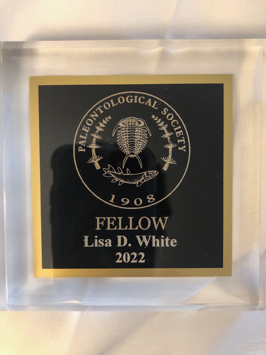 lisatoafault's tweet photo. Honored to be a newly-elected Fellow of the Paleontological Society! @PaleoSoc #GSA2022 https://t.co/x876iBLnz0