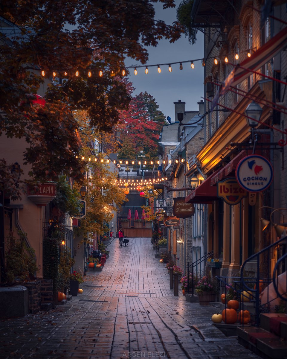 Happy Canadian Thanksgiving!

#oldquebec #fall #autumn #canada #nftcommunity #photography