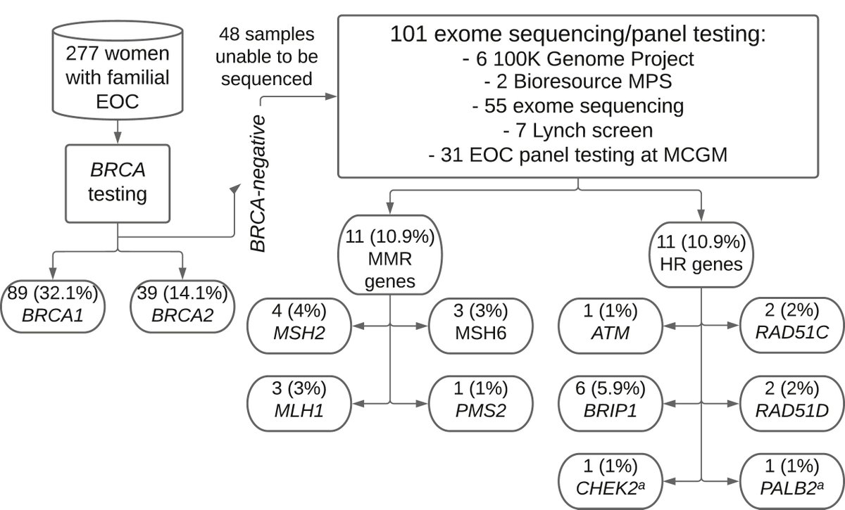 BRCA isn't always the culprit. Women with familial epithelial ovarian cancer often need wider genetic testing to identify pathogenic variants. #familial #hereditary #ovariancancer @drnikiflaum bit.ly/3ysVX6m
