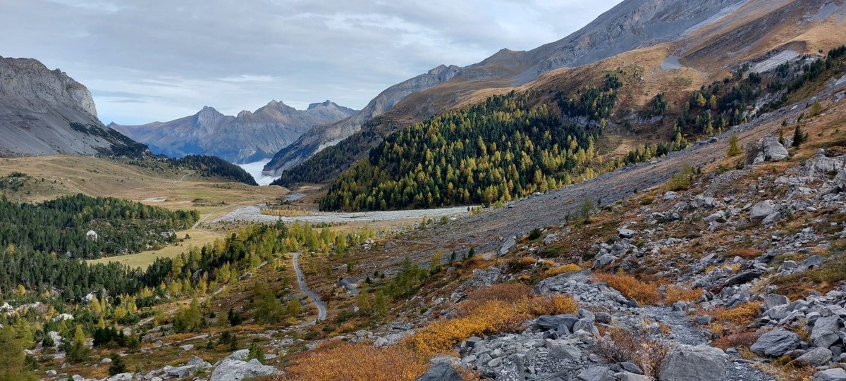 GC@UZH (@gcuzh) on Twitter photo It's autumn, and time to start thinking on <a href="/GIScience_conf/">GIScience</a> papers. Call for papers published, full papers due on 30th January.
...and what about organising a workhsop?
More: giscience2023.github.io
<a href="/ajheppenstall/">Alison Heppenstall</a> <a href="/lexcomber/">alexis comber</a> @nickmalleson It's autumn, and time to start thinking on <a href="/GIScience_conf/">GIScience</a> papers. Call for papers published, full papers due on 30th January.
...and what about organising a workhsop?
More: giscience2023.github.io
<a href="/ajheppenstall/">Alison Heppenstall</a> <a href="/lexcomber/">alexis comber</a> @nickmalleson