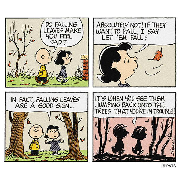 Snoopy's tweet photo. Let 'em fall! 🍂 🍂 https://t.co/NOjePEmkgI