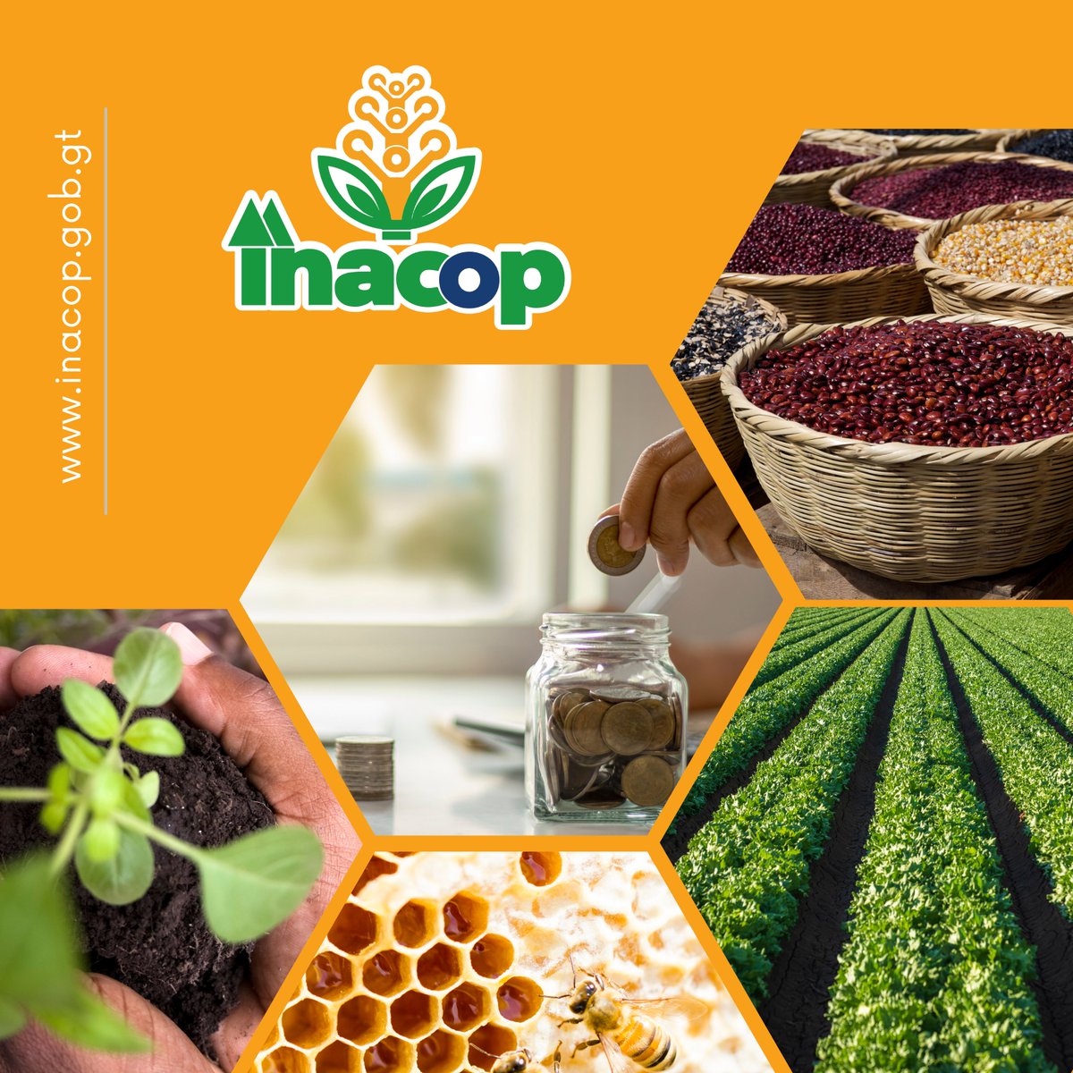 inacop_gt's tweet photo. Fomentando el Cooperativismo como un modelo para el impulso económico del país.

#INACOP  #Guatemala  #cooperativas https://t.co/QKUvEYWqui
