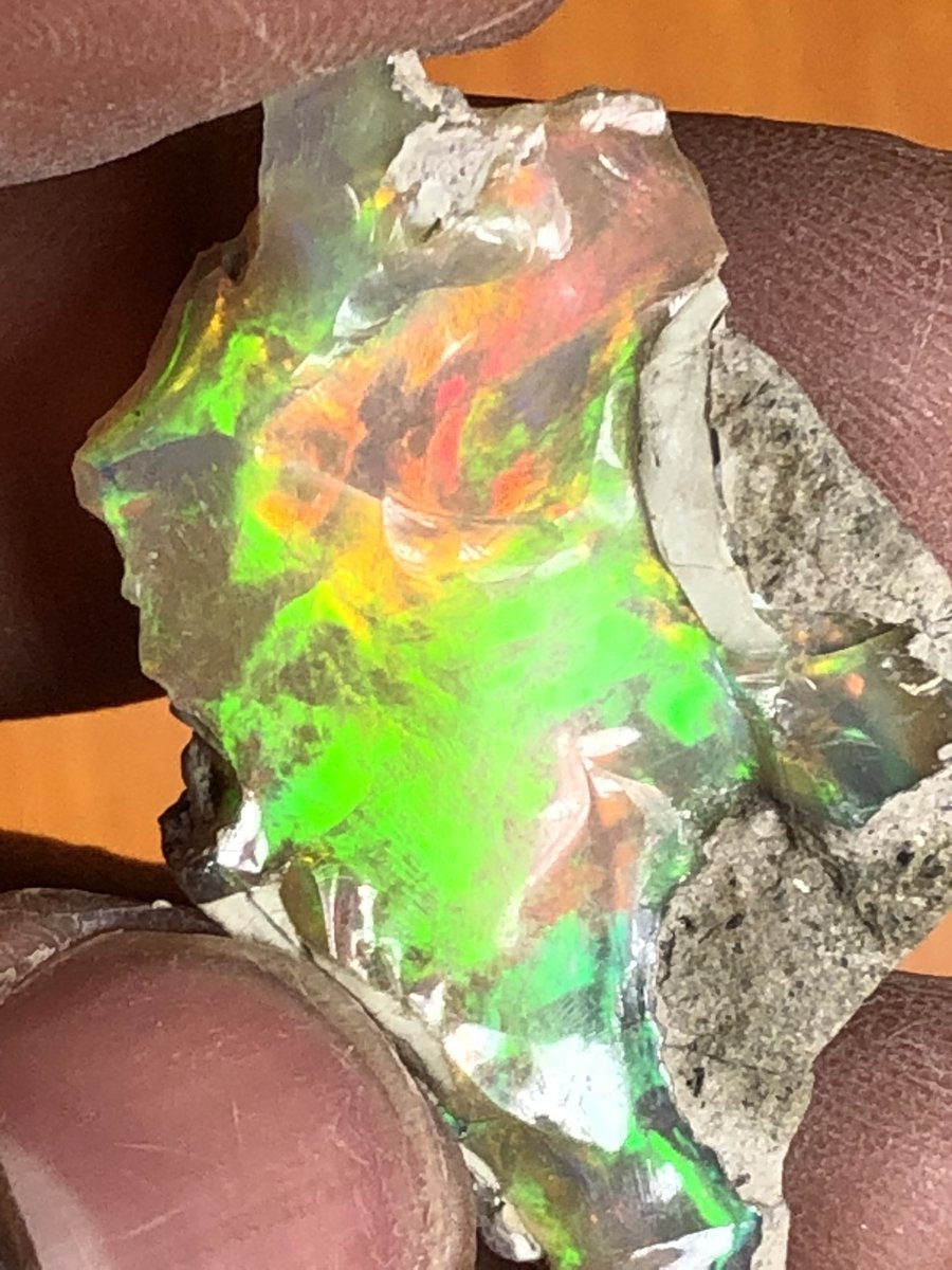 shewatrading's tweet photo. October Birthstone “OPALS….

Opal is a unique and popular gemstone which lends itself beautifully to jewelry, amongst many other things. 
Enjoy beautiful Opals #Ethiopia#weloo#opalauctions #opallovers #lapidaryartist 
#tucsongemshow #hamburggems#munichgemshow #ethiopiaopals https://t.co/Rd7k6XKKst