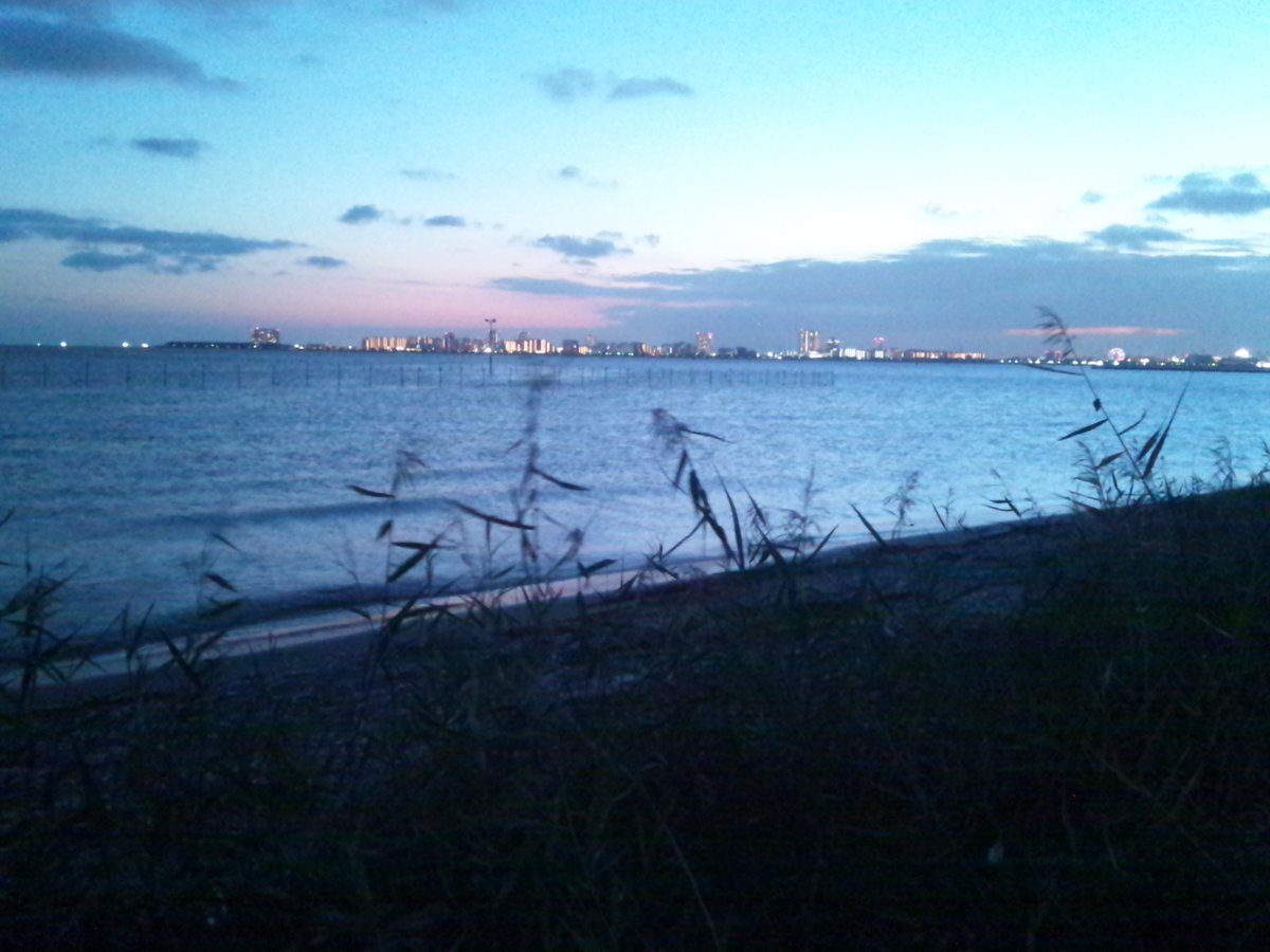 Schildlaeusen's tweet photo. とある夕暮れ時
おひしばさんがたどり着いた場所

そこは「海」っていうそうです🏖️✨

遠くには #葛西臨海公園 の観覧車が見えます🎡✨

波の静かな穏やかな場所でした🐋

#ふなばし三番瀬　#三番瀬
#東京湾
#ホンビノス https://t.co/iZTui86TKj