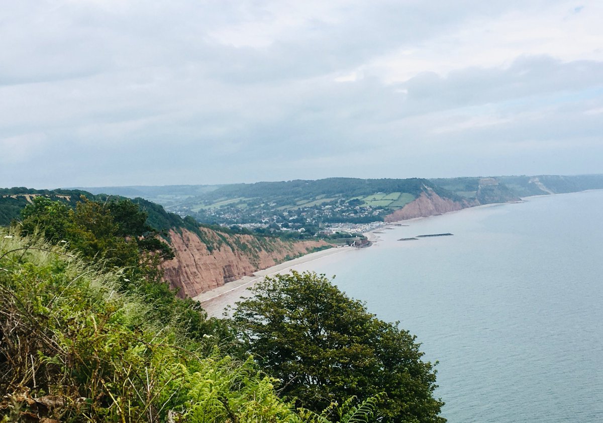 DarrenWilliamsLab tweet media