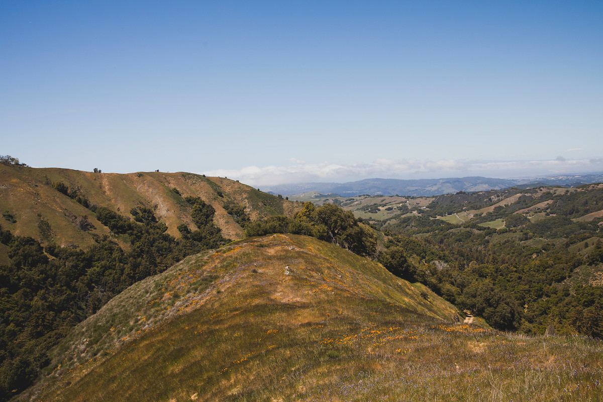 Big Sur Land Trust (@bigsurlandtrust) on Twitter photo We're honoring Indigenous Peoples' Day with "Remember," a poem from <a href="/JoyHarjo/">Joy Harjo</a> the United States' first Native American Poet Laureate serving from 2019-22. Read her poem: poets.org/poem/remember-0
#IndigenousPeoplesDay #BigSurLandTrust #MontereyCounty We're honoring Indigenous Peoples' Day with "Remember," a poem from <a href="/JoyHarjo/">Joy Harjo</a> the United States' first Native American Poet Laureate serving from 2019-22. Read her poem: poets.org/poem/remember-0
#IndigenousPeoplesDay #BigSurLandTrust #MontereyCounty