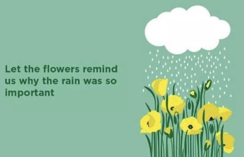 Revive2S's tweet photo. It takes both sun and rain to grow a flower. Let this be a gentle reminder to everyone who feels stuck in a rainy season.
Please feel free to share this with someone who might need the reminder #WorldMentalHealthDay #firstaidformentalhealth 
#WorldMentalHealthDay2022 https://t.co/wRj0FRagkK