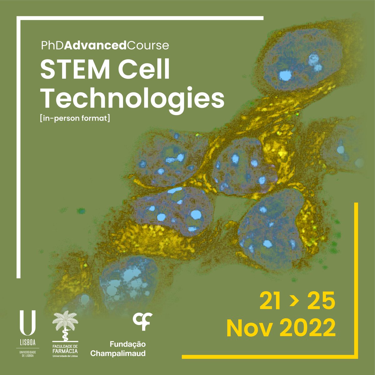 SusanaSol7's tweet photo. Do not miss our upcoming Training Course in Stem Cell Technologies! Registration until 14 November. More information: https://t.co/afCI4k5NoO https://t.co/RL8ASHQMxj